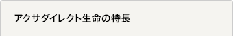 �A�N�T�_�C���N�g�����̓���