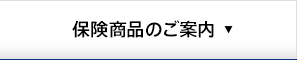�ی����i�̂��ē�