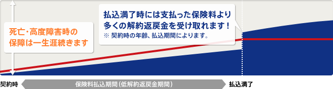 保険料払込満了時の解約返戻金は、契約時の年齢や条件によっては、支払った保険料より多く返ってきます。死亡・高度障害時の保障は一生続きます。