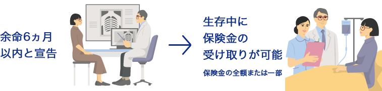 余命6ヵ月以内と宣告→生存中に保険金の受け取りが可能 保険金の全額または一部