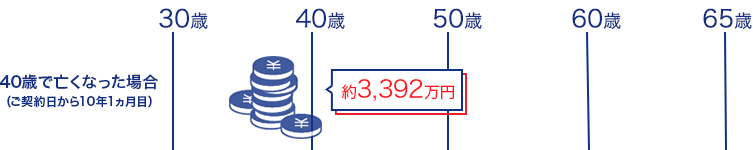 加入時の年齢ごとの保険料の目安